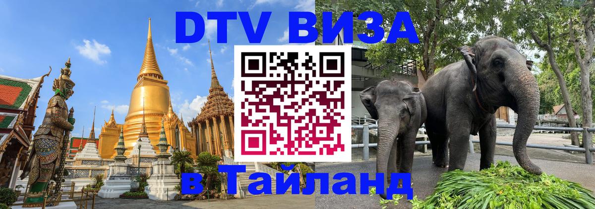 Оформление DTV визы под ключ: стоимость и тарифы, только загранпаспорт - Шахты  20.11.2025 